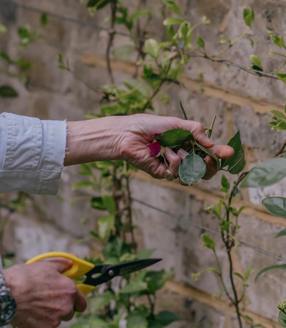 Inspiration image 16