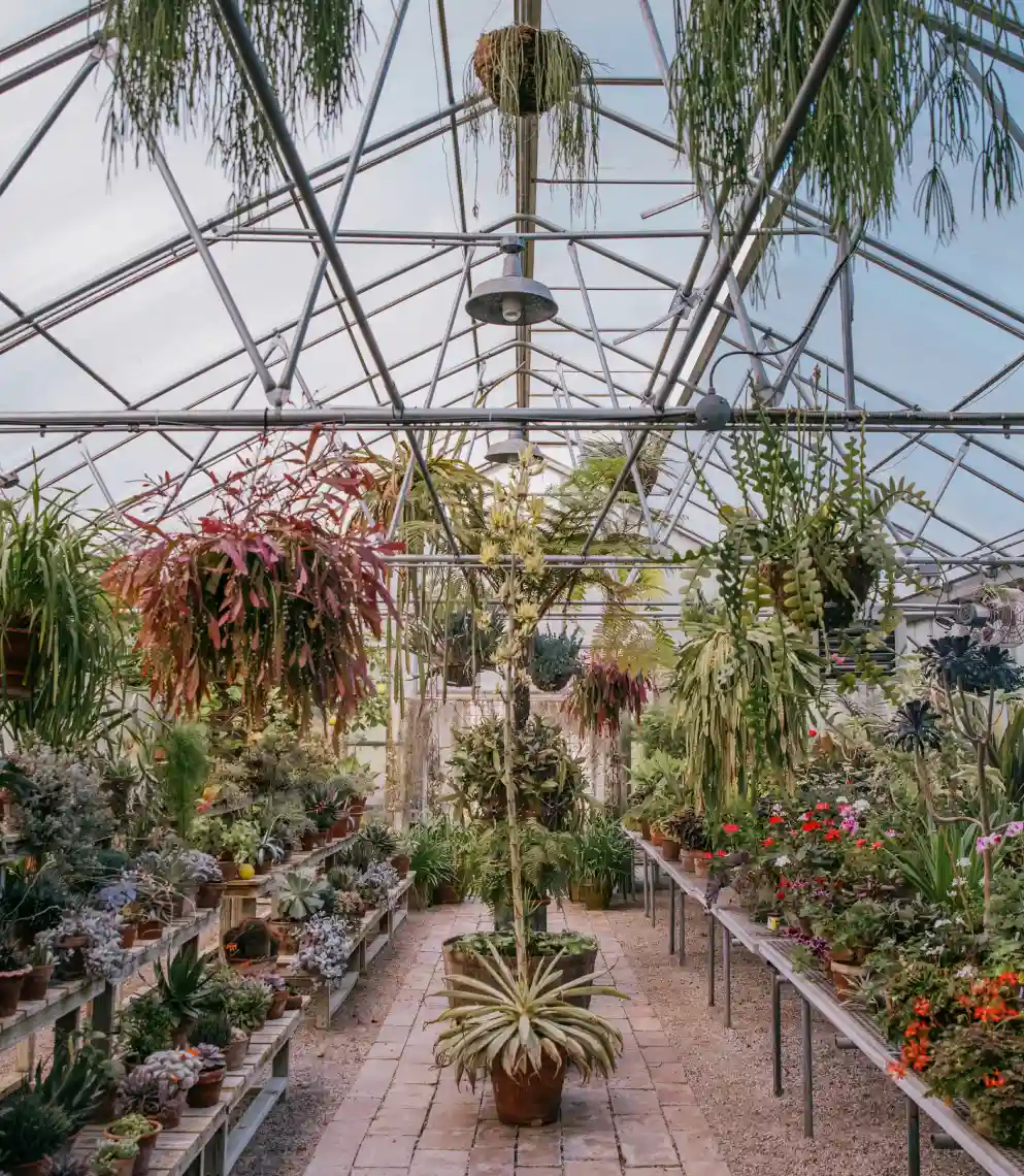 Inspiration image 11