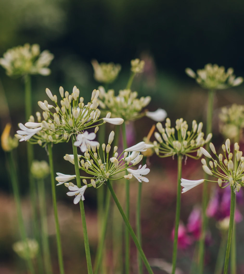 Inspiration image 15