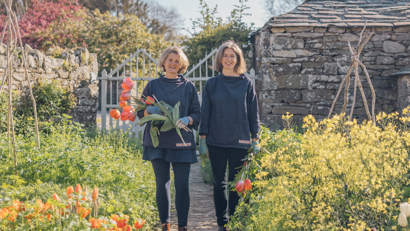 A Year of Cut Flowers