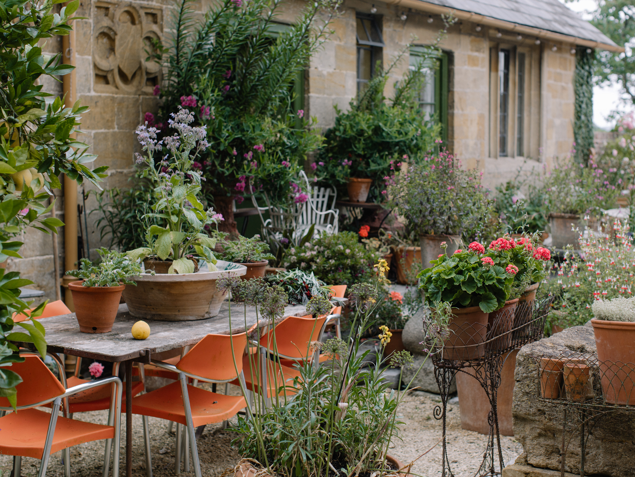 Isabel & Julian  Bannerman banner image