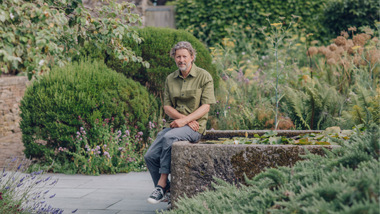 An Expert Guide to Planting Design