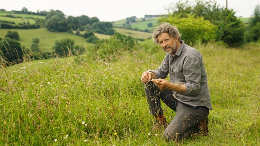 Naturalistic Garden Design Masterclass