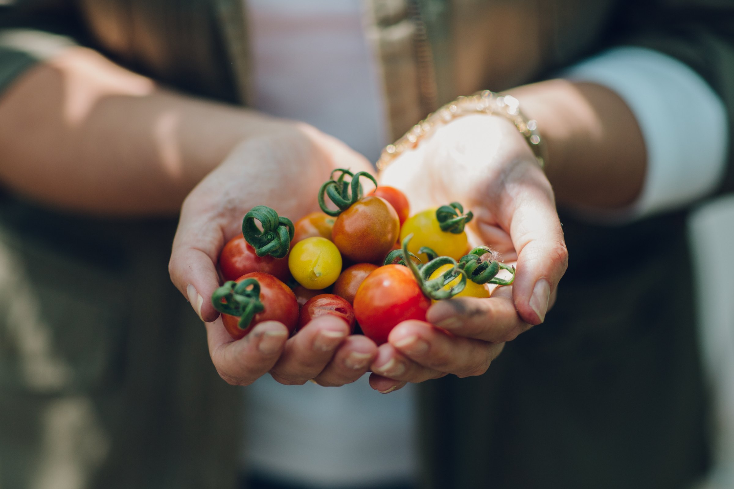 Amelia Freer banner image