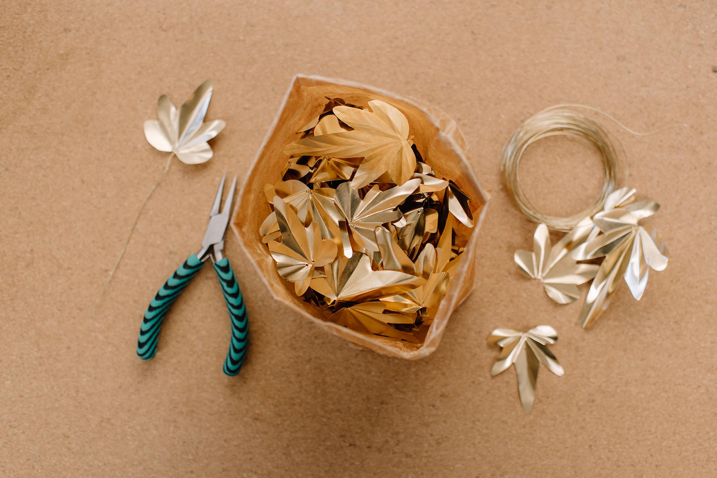 Jess Wheeler banner image