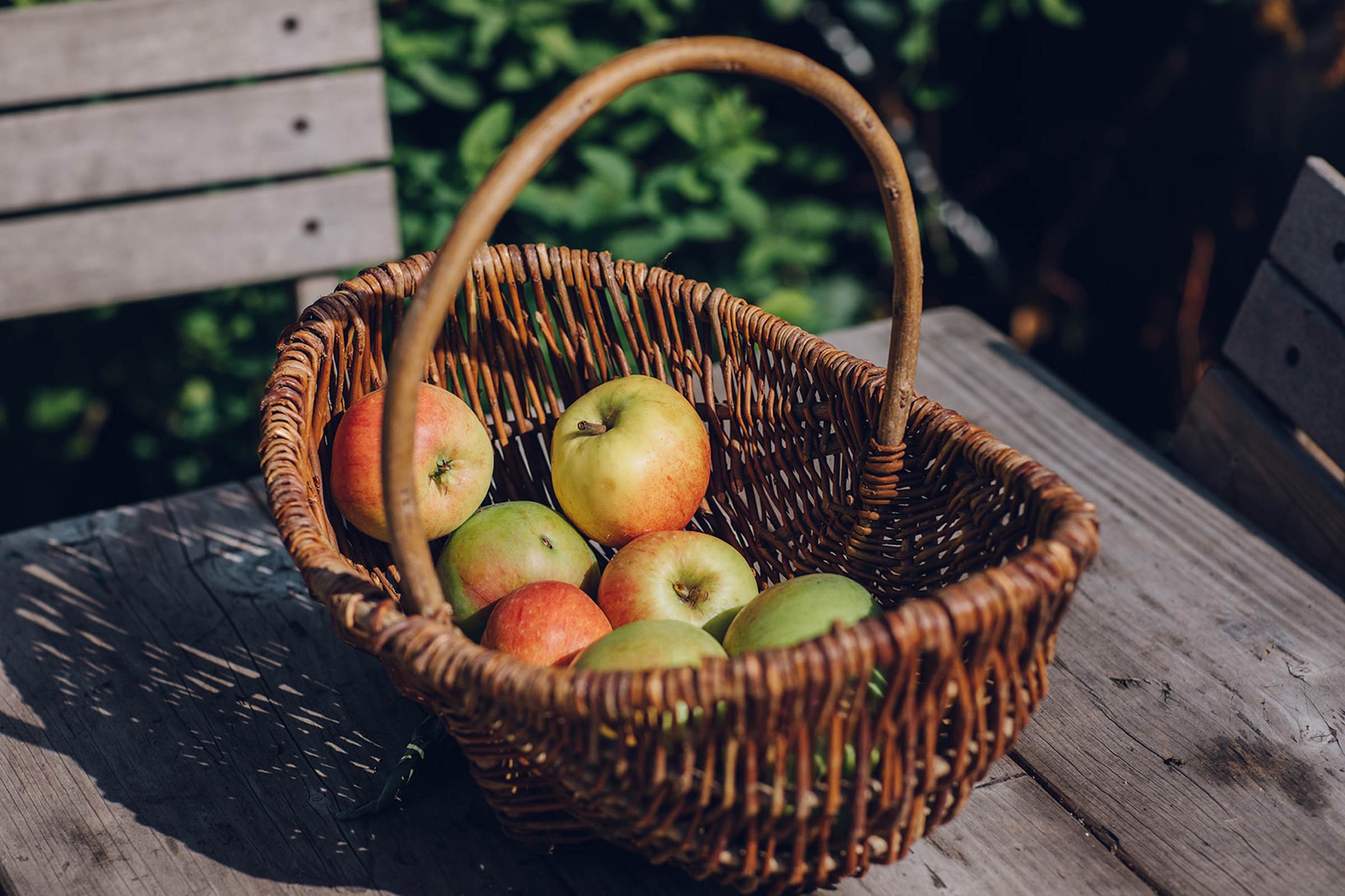 Poppy Okotcha banner image