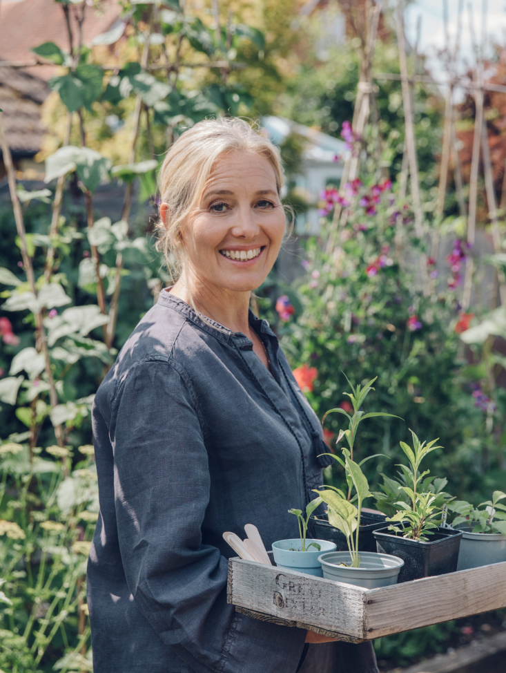 How to Grow Flowers from Seed