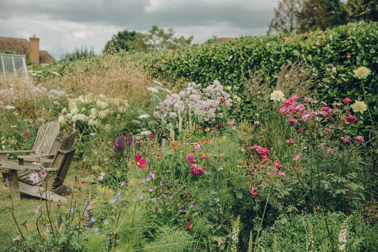 Clare Foster banner image