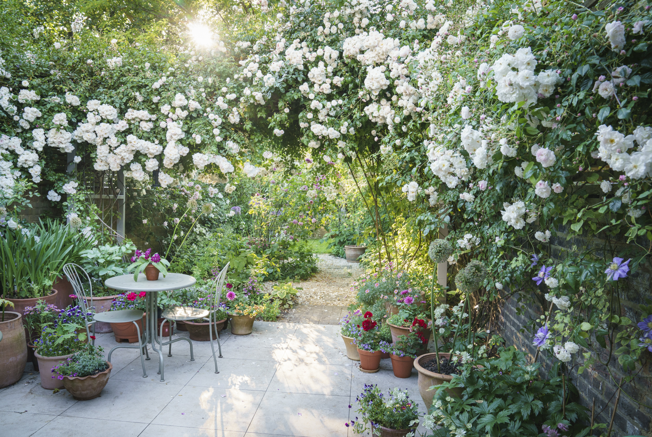 Jo  Thompson banner image